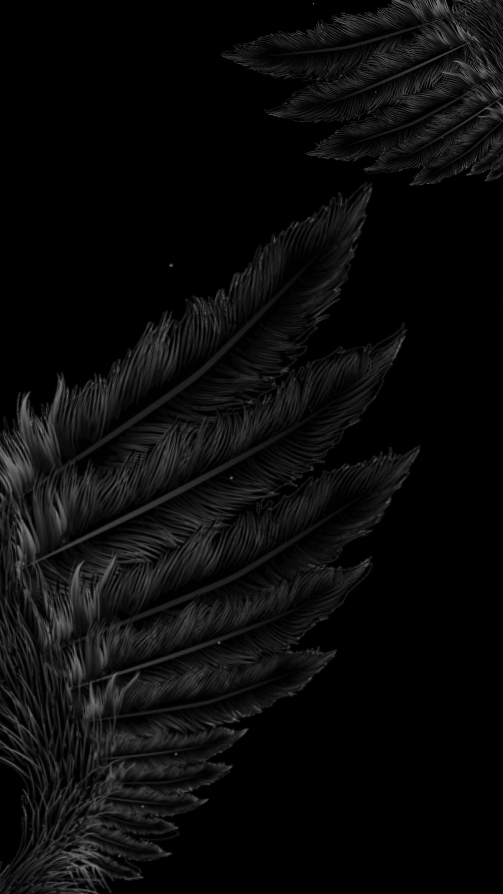 Black Wings Wallpapers Wallpaper Cave