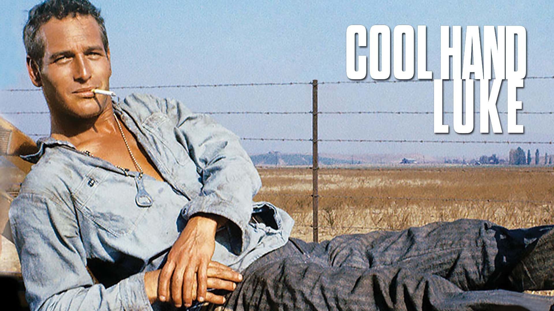 Cool Hand Luke Wallpapers Wallpaper Cave