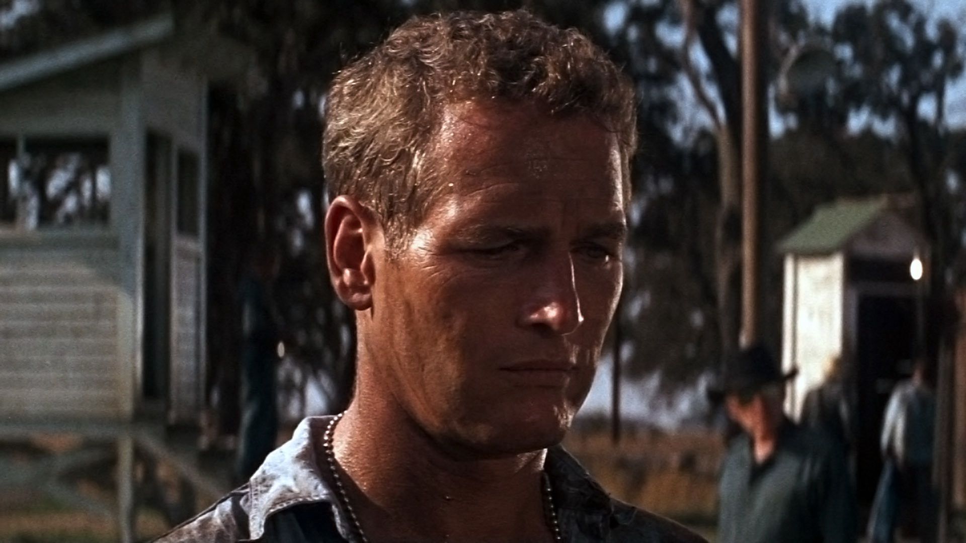 Cool Hand Luke Wallpapers Wallpaper Cave