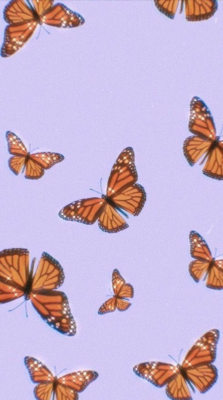 Cute Aesthetic Butterflies Wallpapers Wallpaper Cave