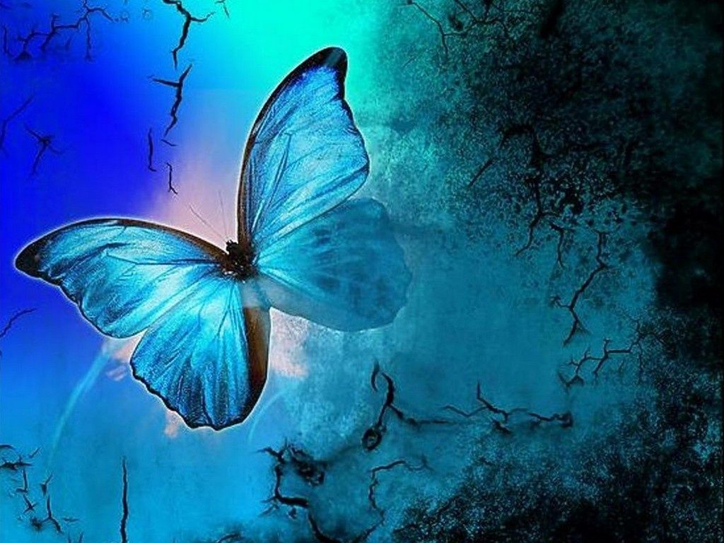 Cute Aesthetic Butterflies Wallpapers Wallpaper Cave