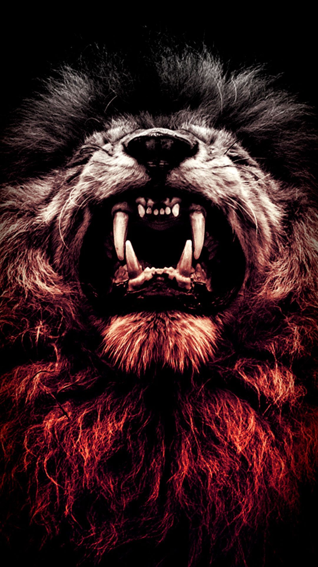 Lion Mobile Wallpapers Wallpaper Cave