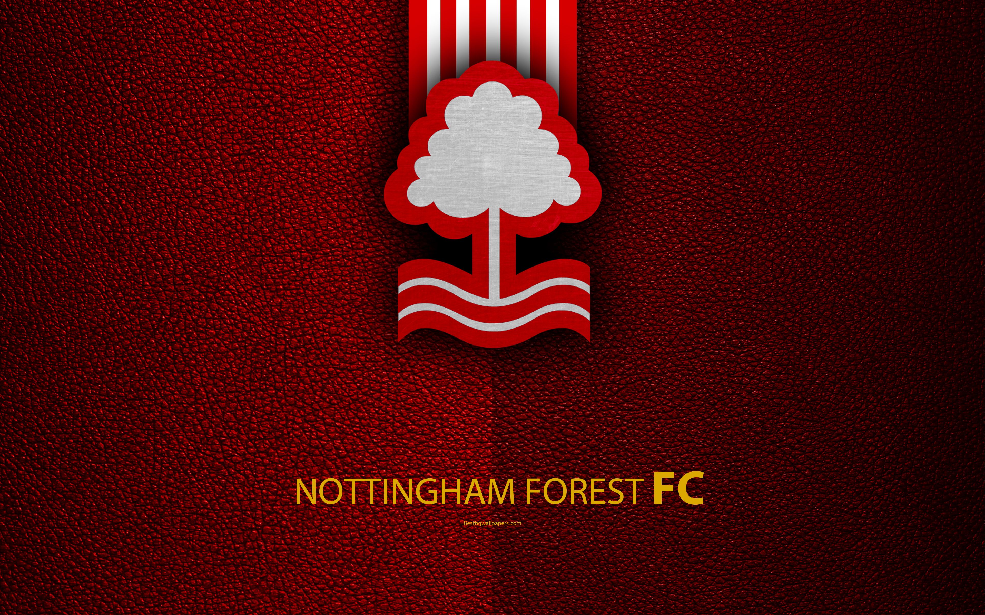 Nottingham Forest F.C. Wallpapers Wallpaper Cave