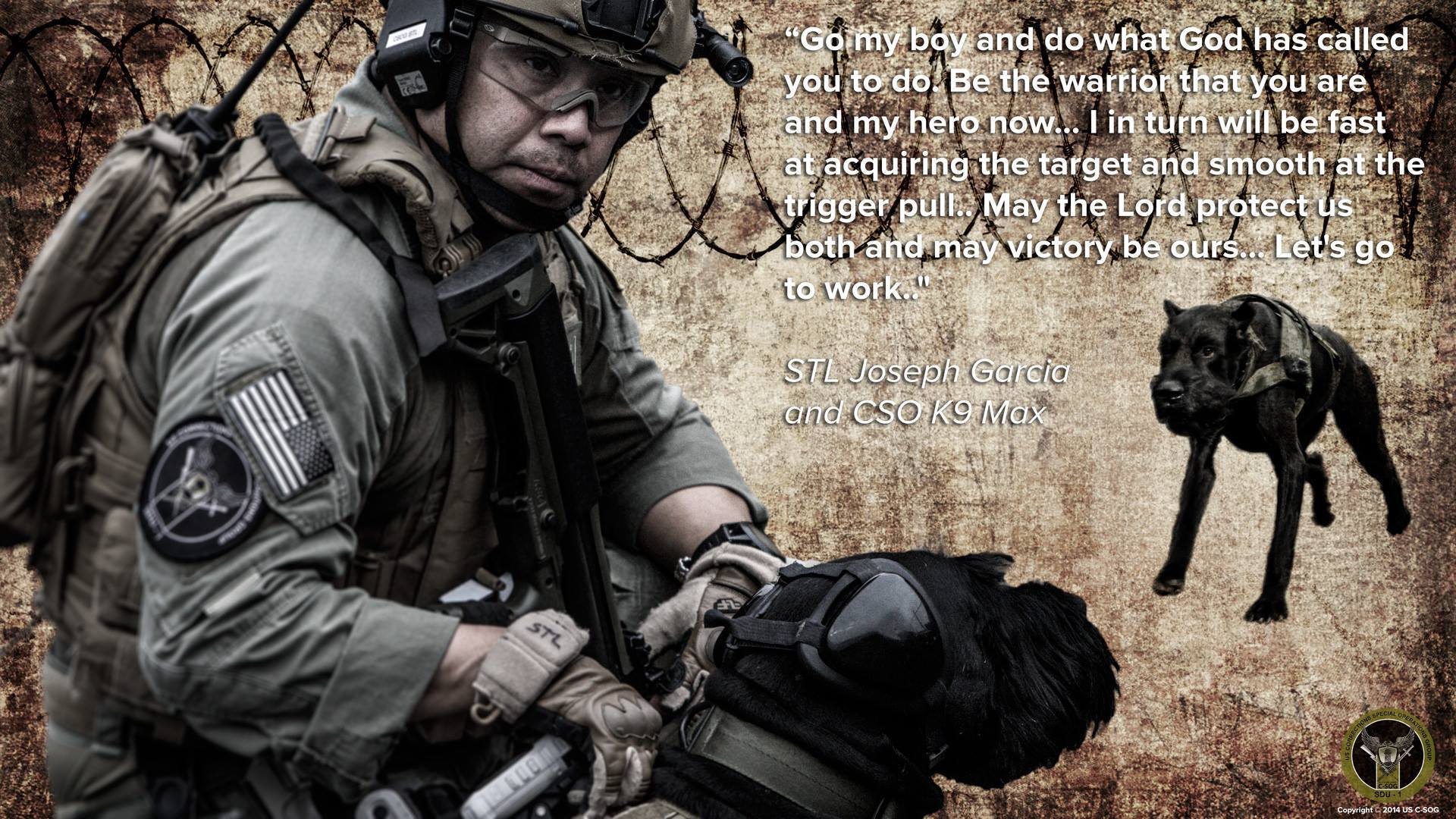 K9 Wallpapers Wallpaper Cave