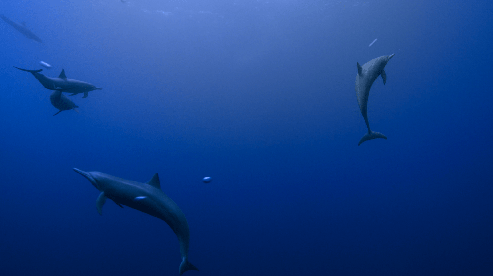 Apple TV Wallpapers Wallpaper Cave