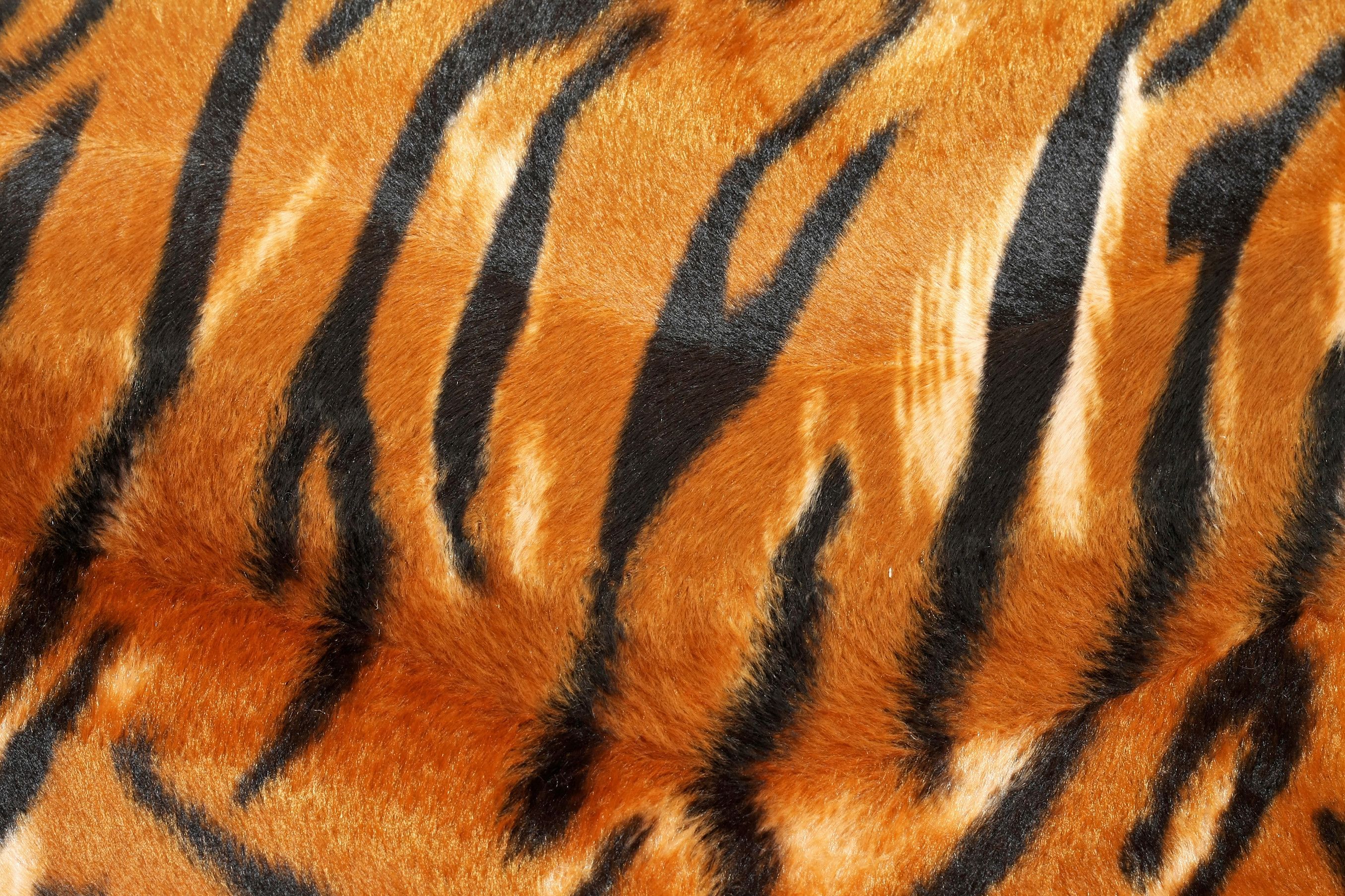 Tiger Skin Wallpapers Wallpaper Cave
