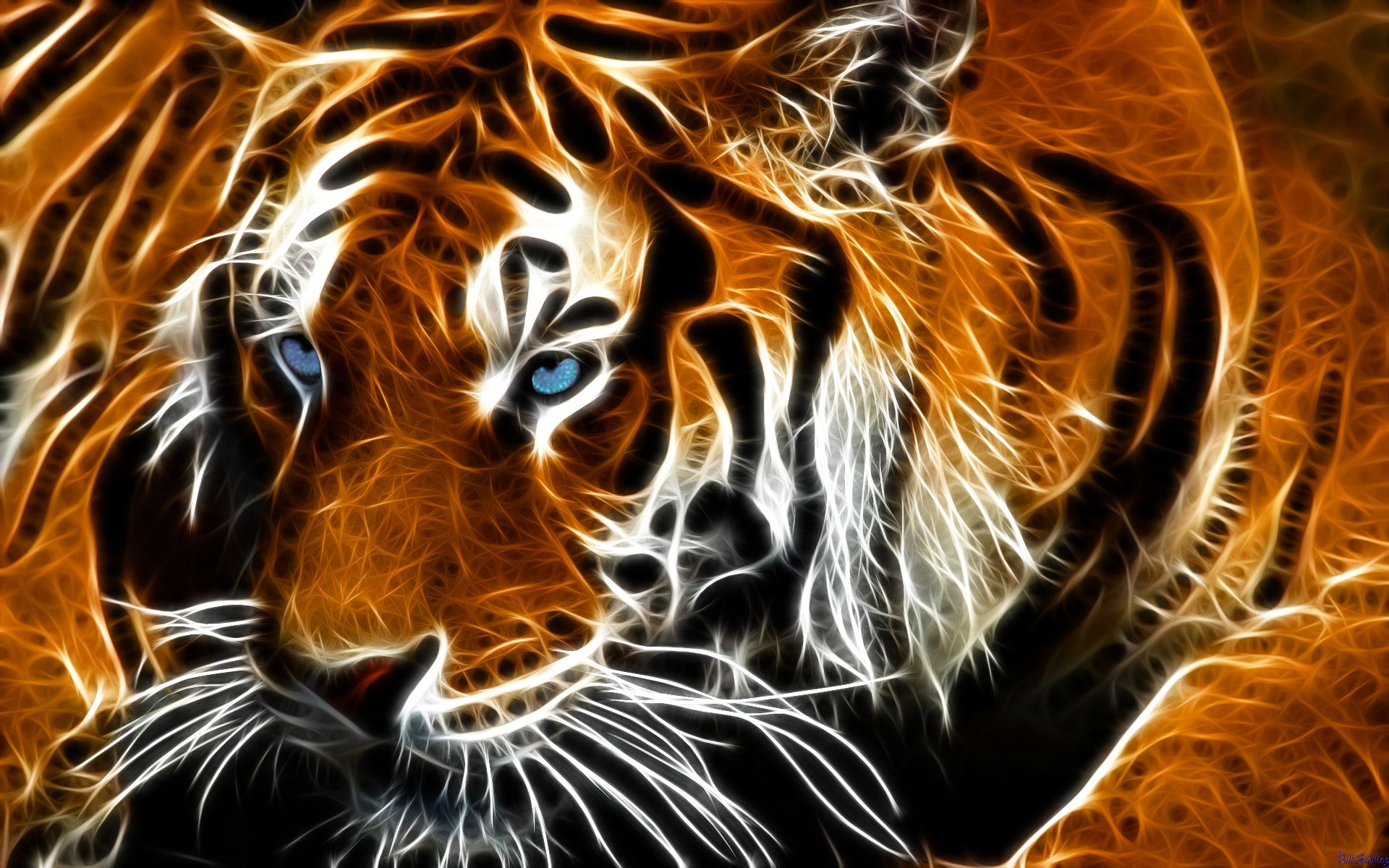 Tiger Skin Wallpapers Wallpaper Cave