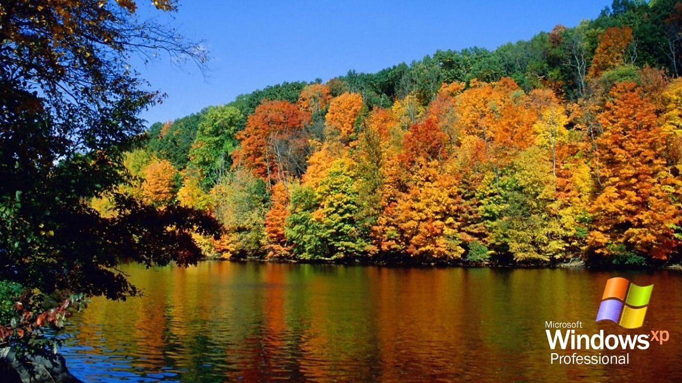 Windows Xp Autumn Wallpaper 4K