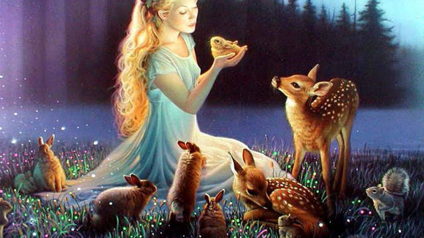 Animal Love Wallpapers Wallpaper Cave