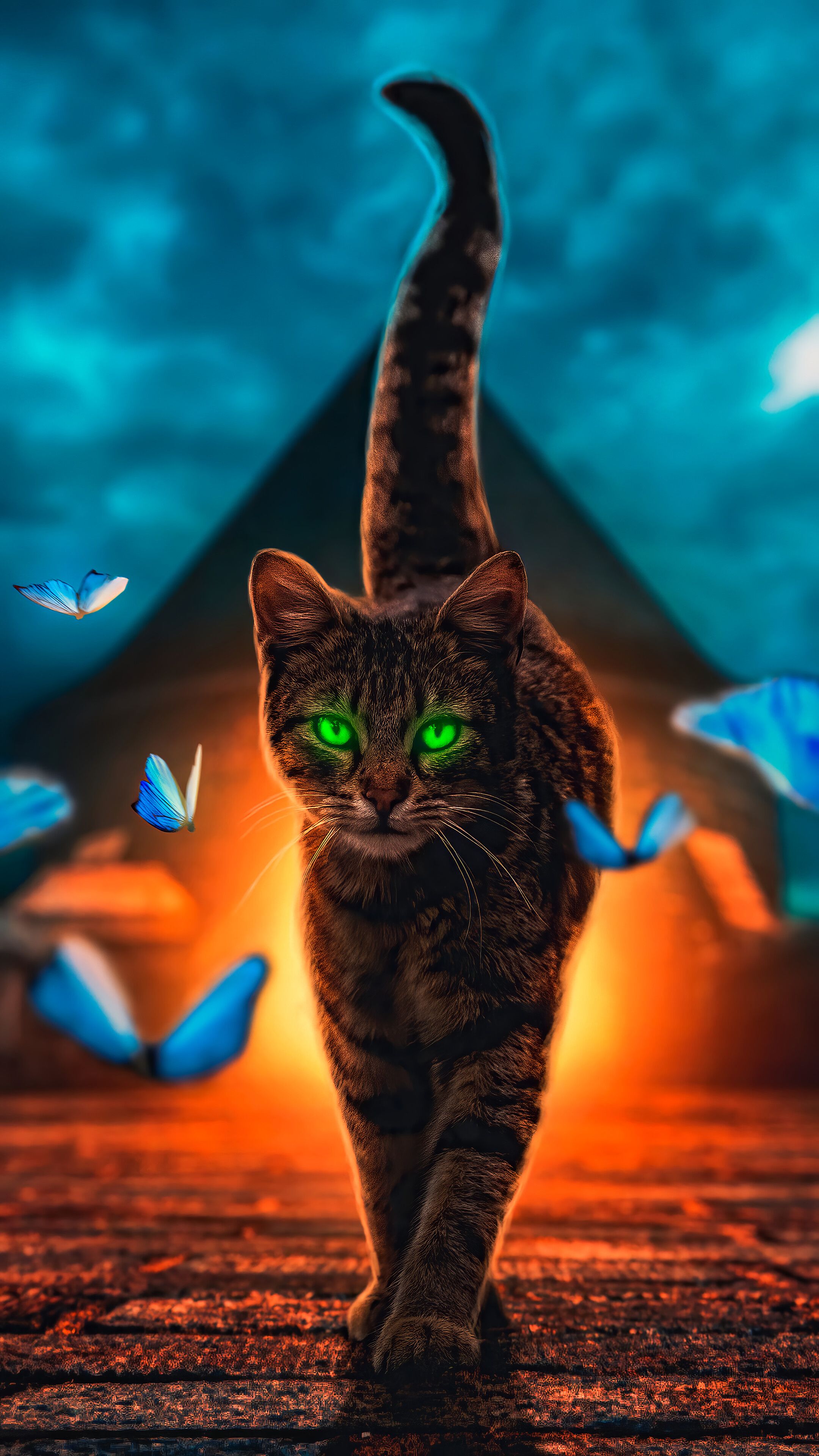 Cat Art Wallpapers Wallpaper Cave