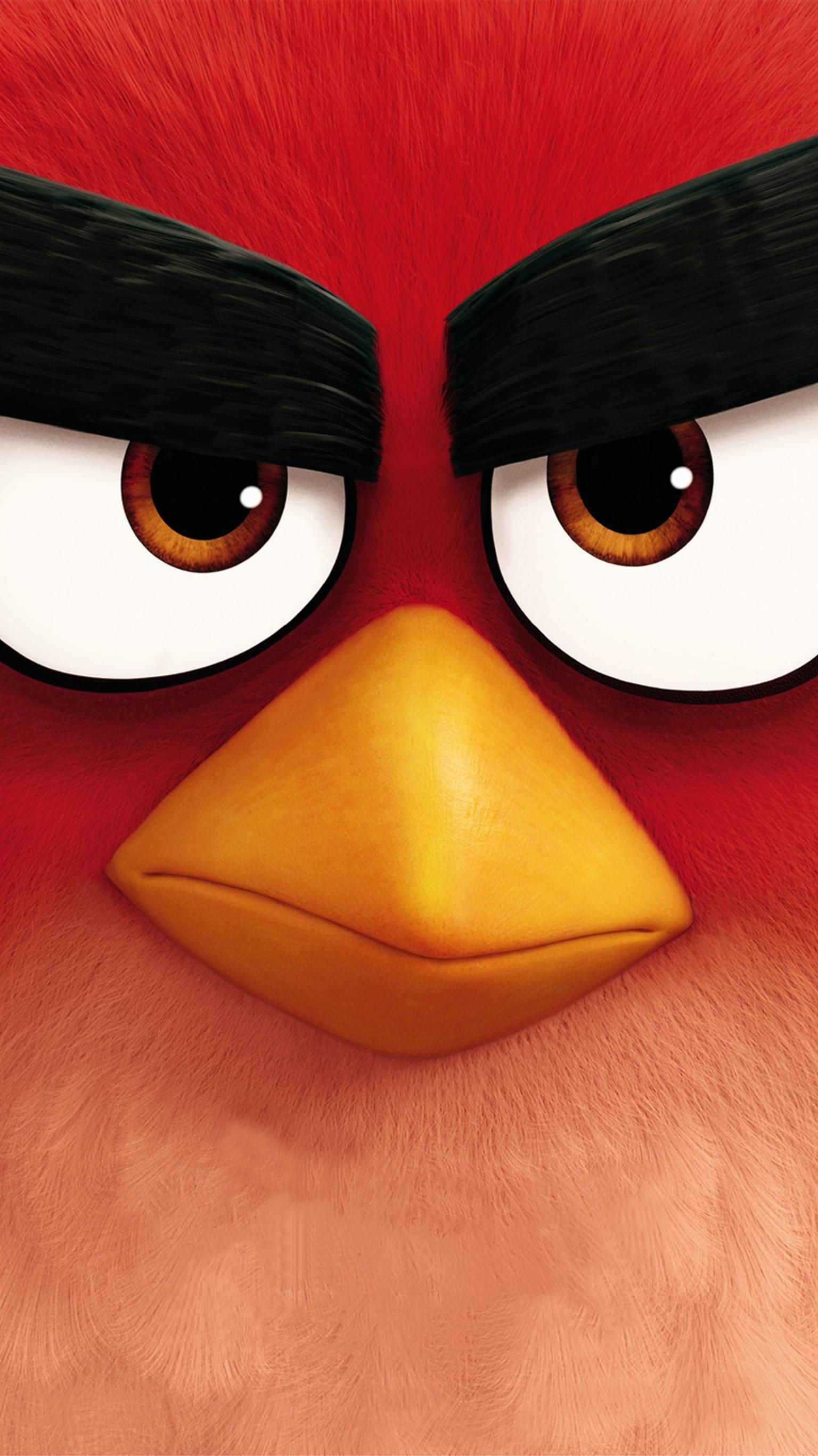 Angry Bird Red Wallpapers Wallpaper Cave