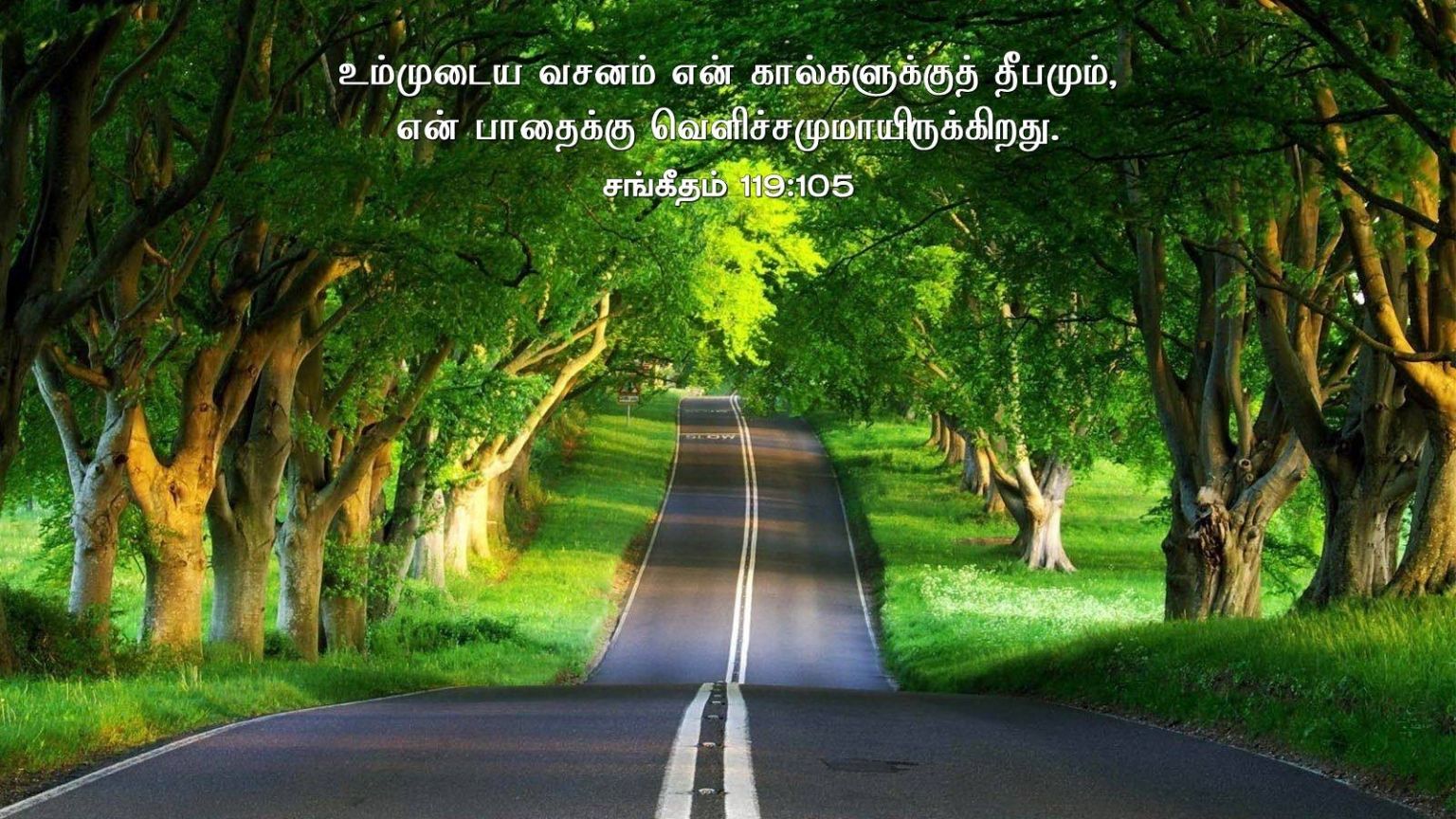 Tamil Quotes Wallpapers Wallpaper Cave