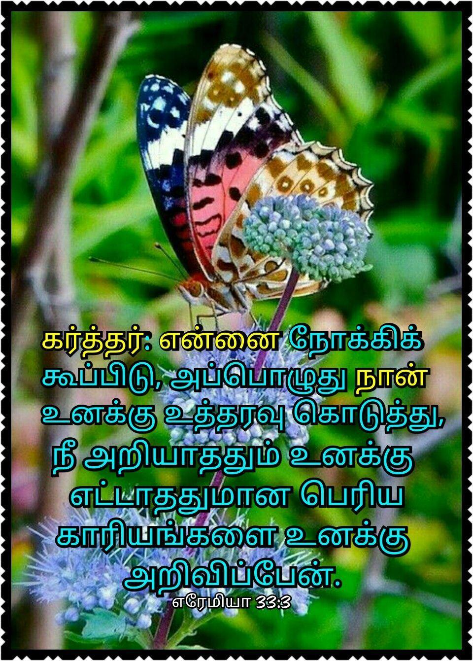 Tamil Quotes Wallpapers Wallpaper Cave