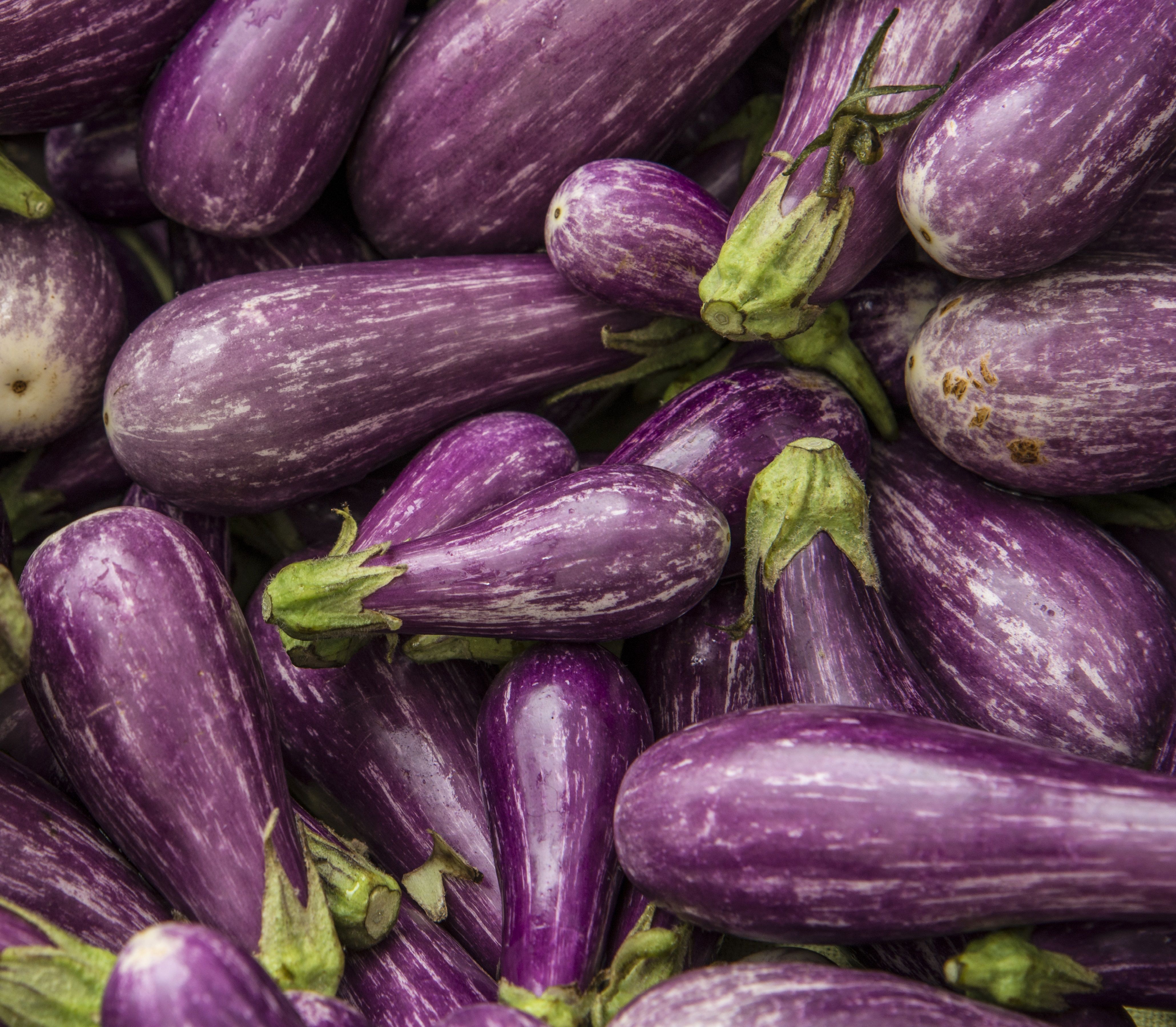 Aesthetic Eggplant Wallpapers Wallpaper Cave