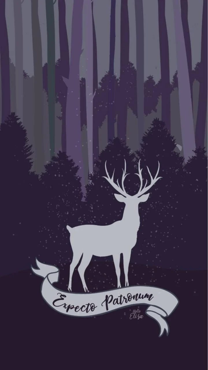 Expecto Patronum Wallpapers Wallpaper Cave