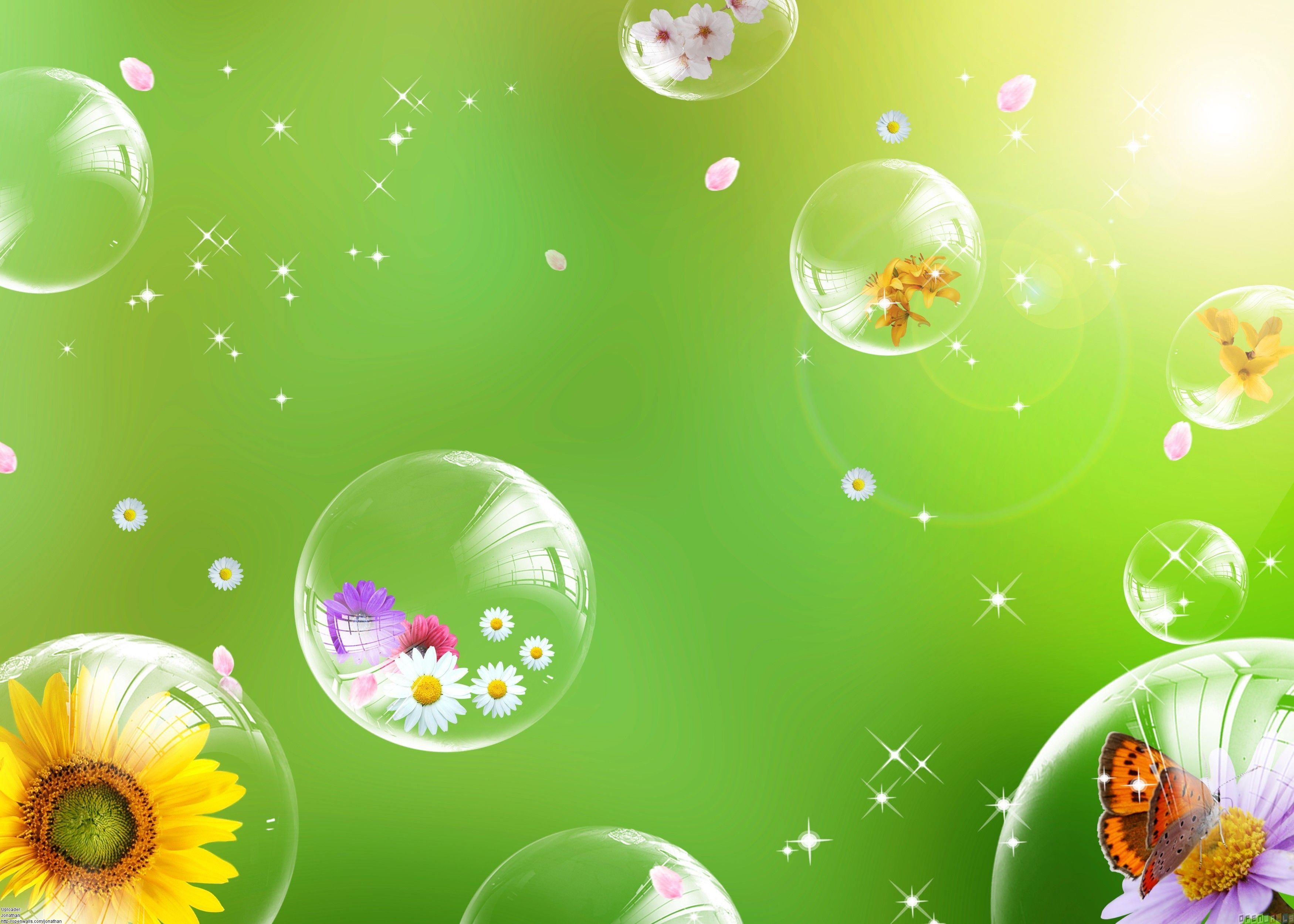 Flowers And Bubbles Wallpapers Wallpaper Cave