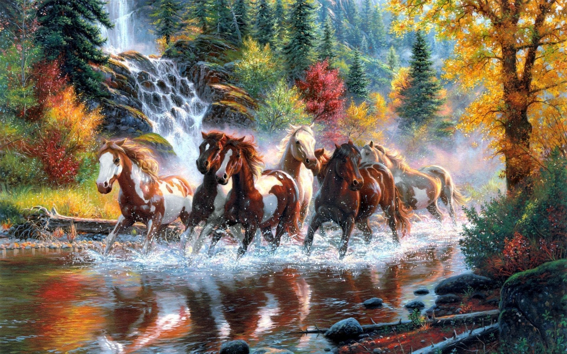 Summer Horse Wallpapers Wallpaper Cave
