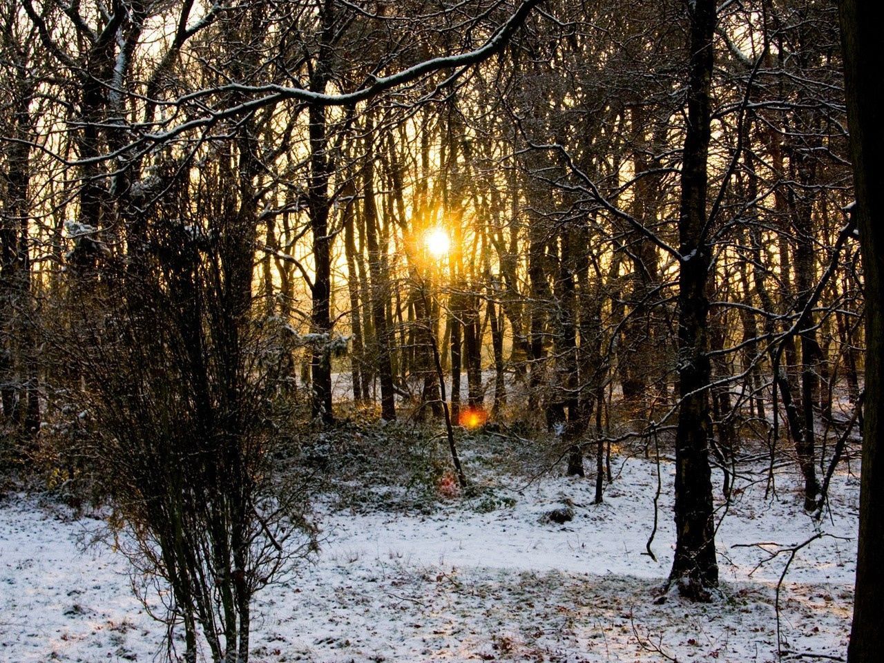 Autumn Cold Wallpapers Wallpaper Cave