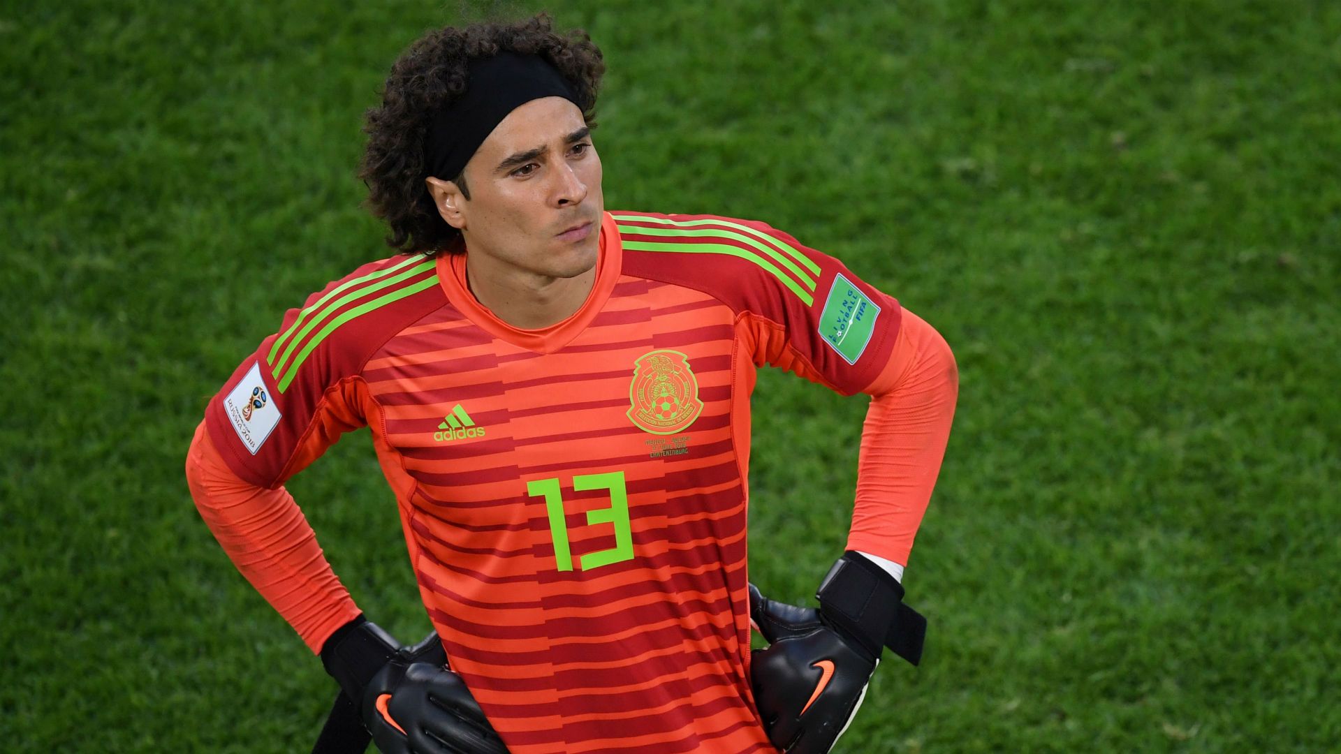 Memo Ochoa Wallpapers Wallpaper Cave