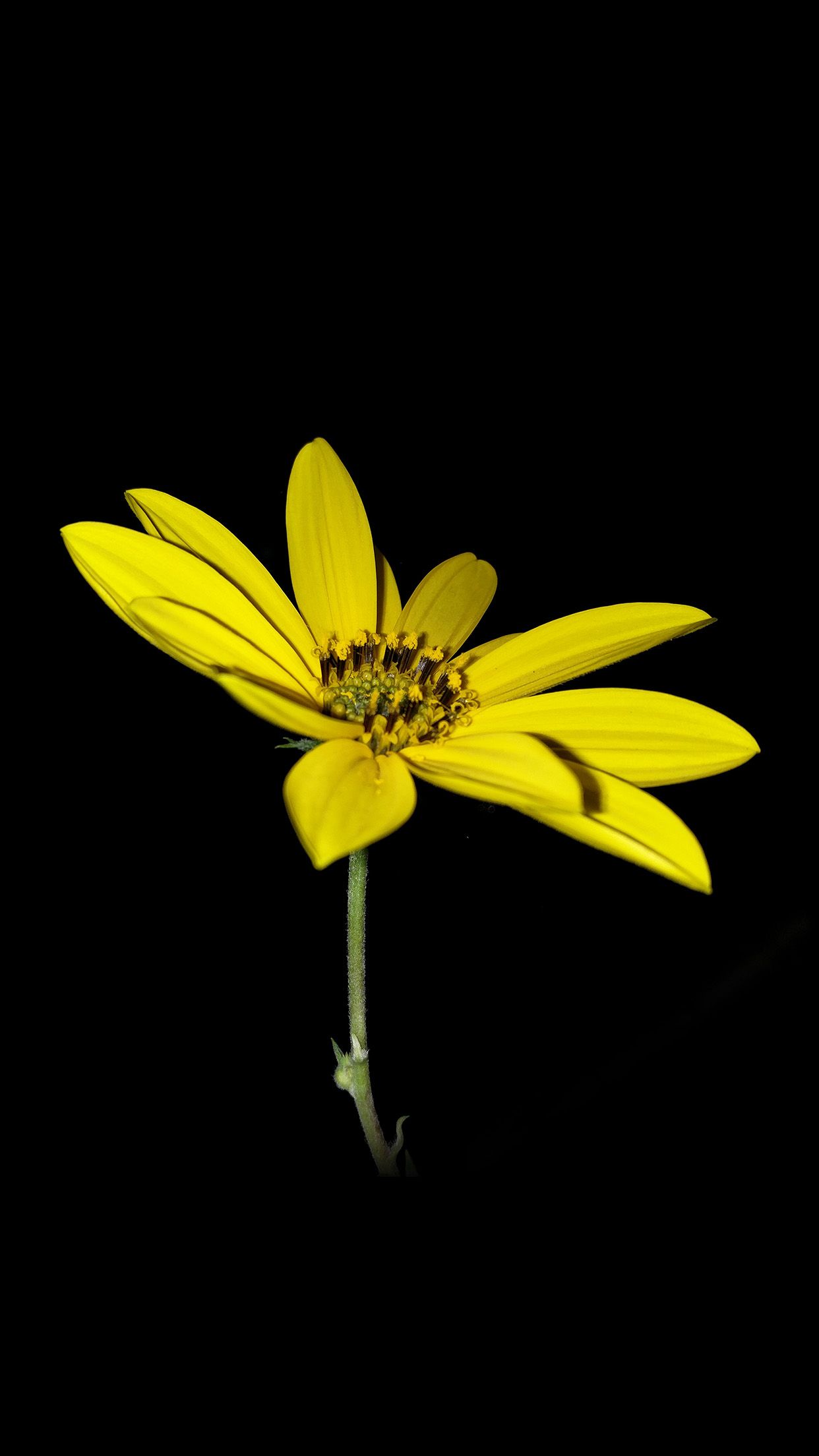 Dark Yellow Android Wallpapers Wallpaper Cave