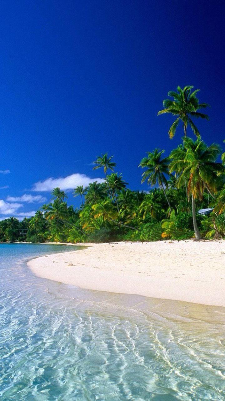 Nature Beach HD Android Mobile Wallpapers Wallpaper Cave