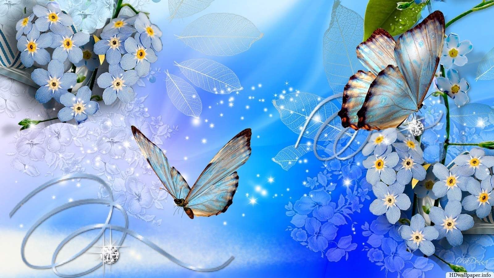 Butterfly Laptop Wallpapers Wallpaper Cave