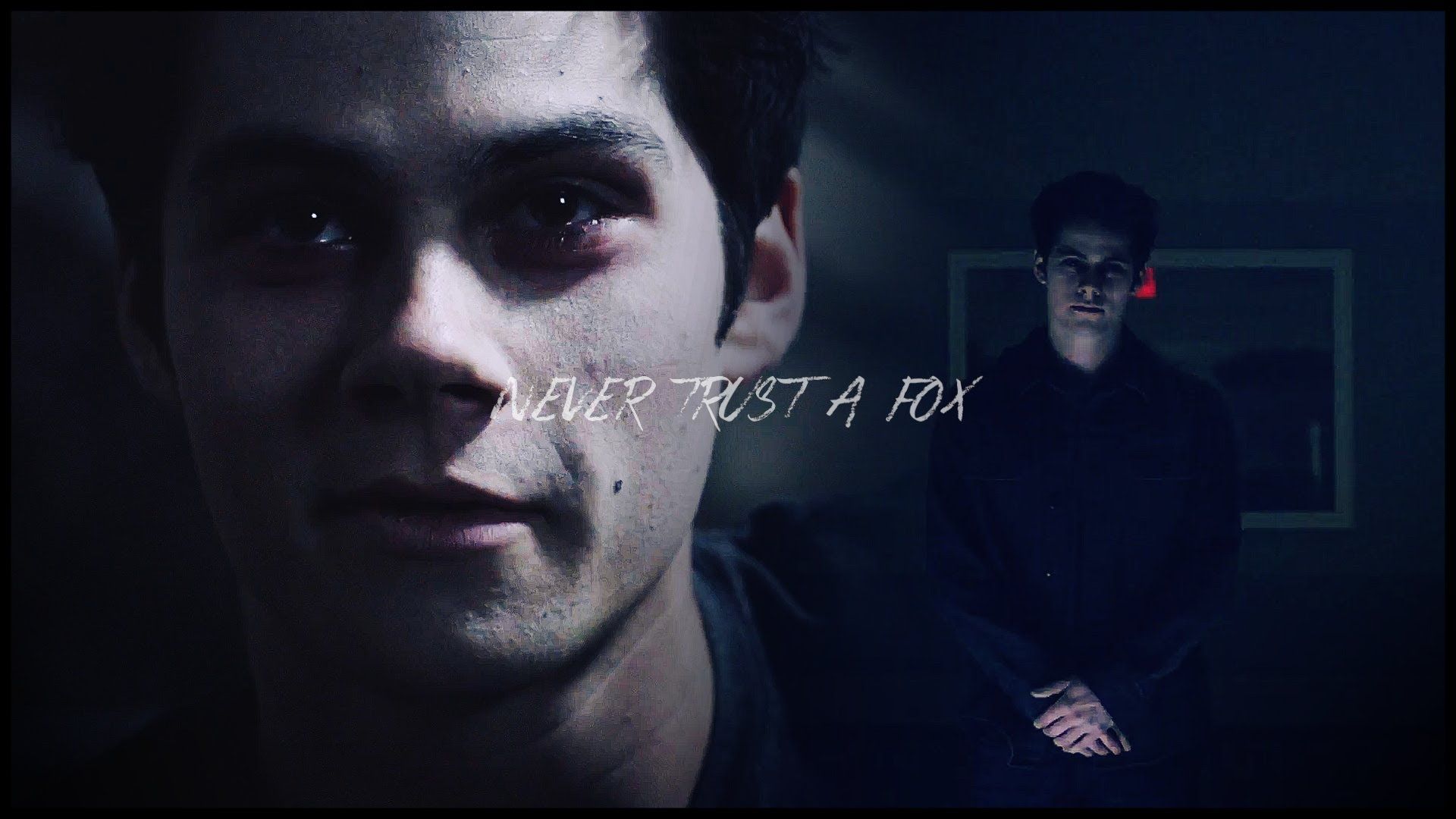 Stiles Stilinski Desktop Wallpapers Wallpaper Cave