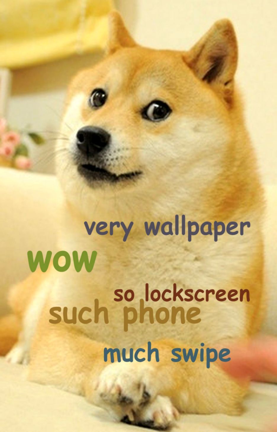 Doge Meme Wallpapers Wallpaper Cave