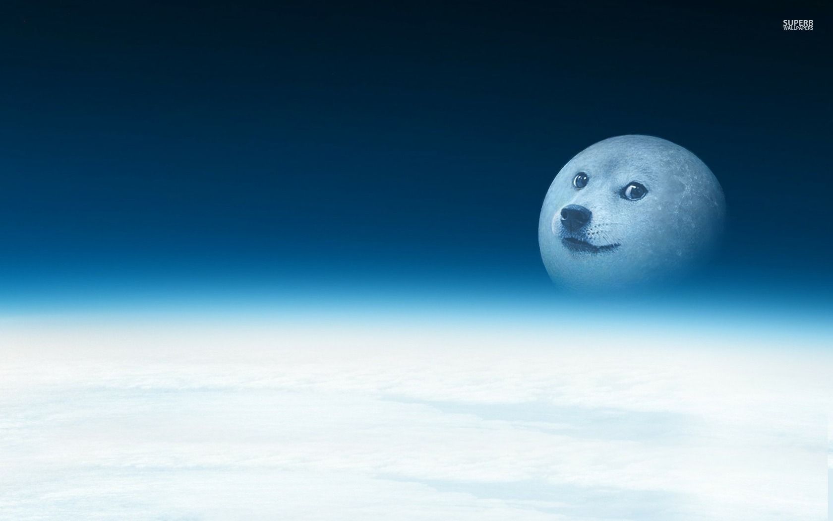 Doge Meme Wallpapers Wallpaper Cave