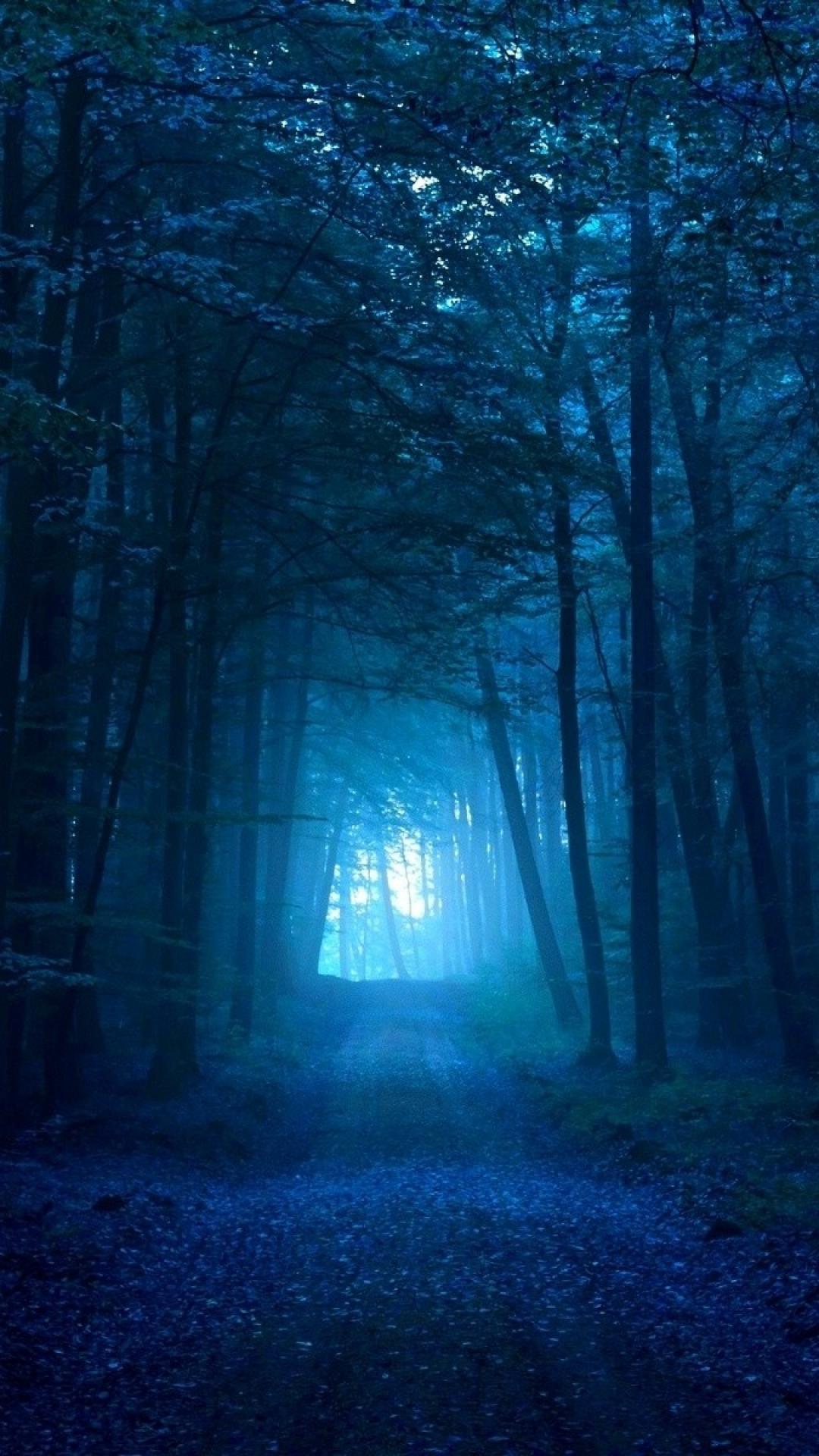 Blue Forest Wallpapers Wallpaper Cave