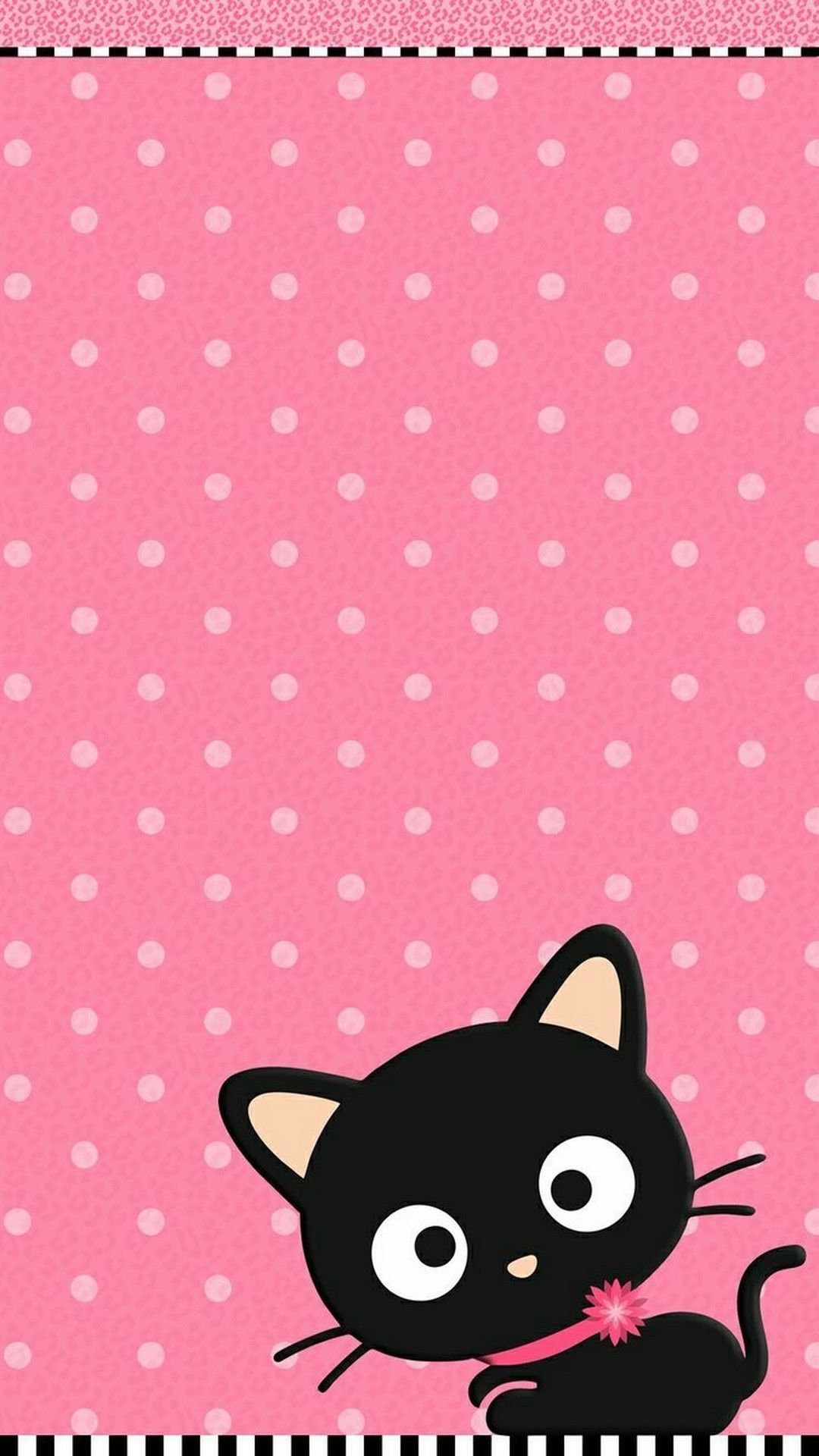 Pink Cat Wallpapers Wallpaper Cave