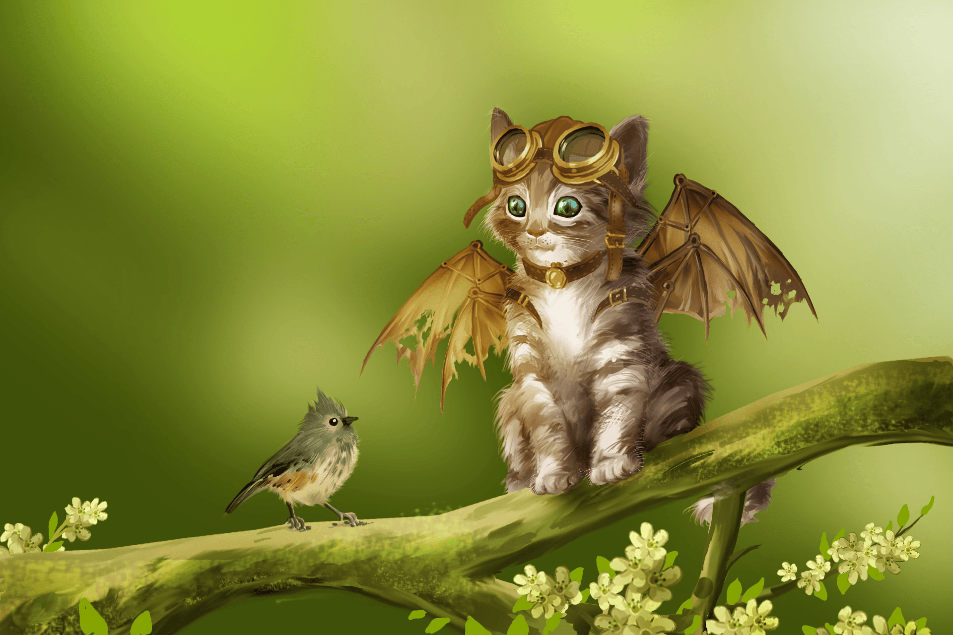 Cats With Wings Wallpapers Wallpaper Cave