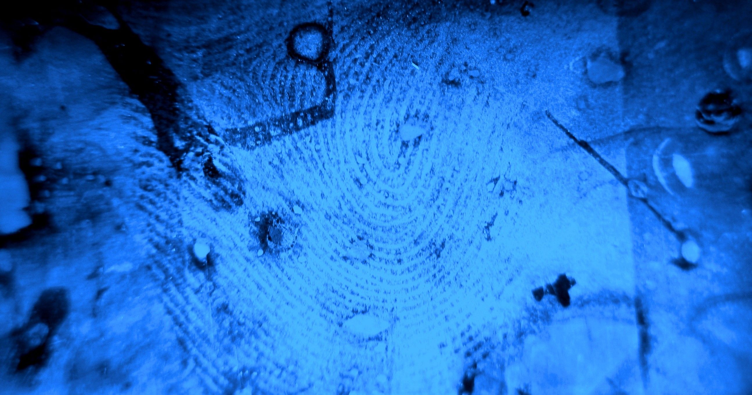 Criminalist Wallpapers Wallpaper Cave