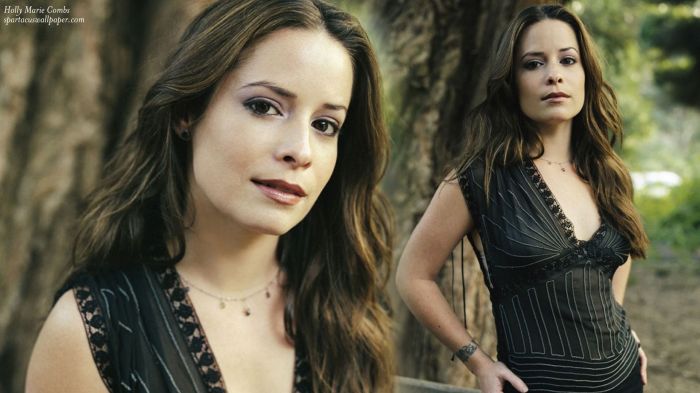 Holly marie combs 2023 net worth