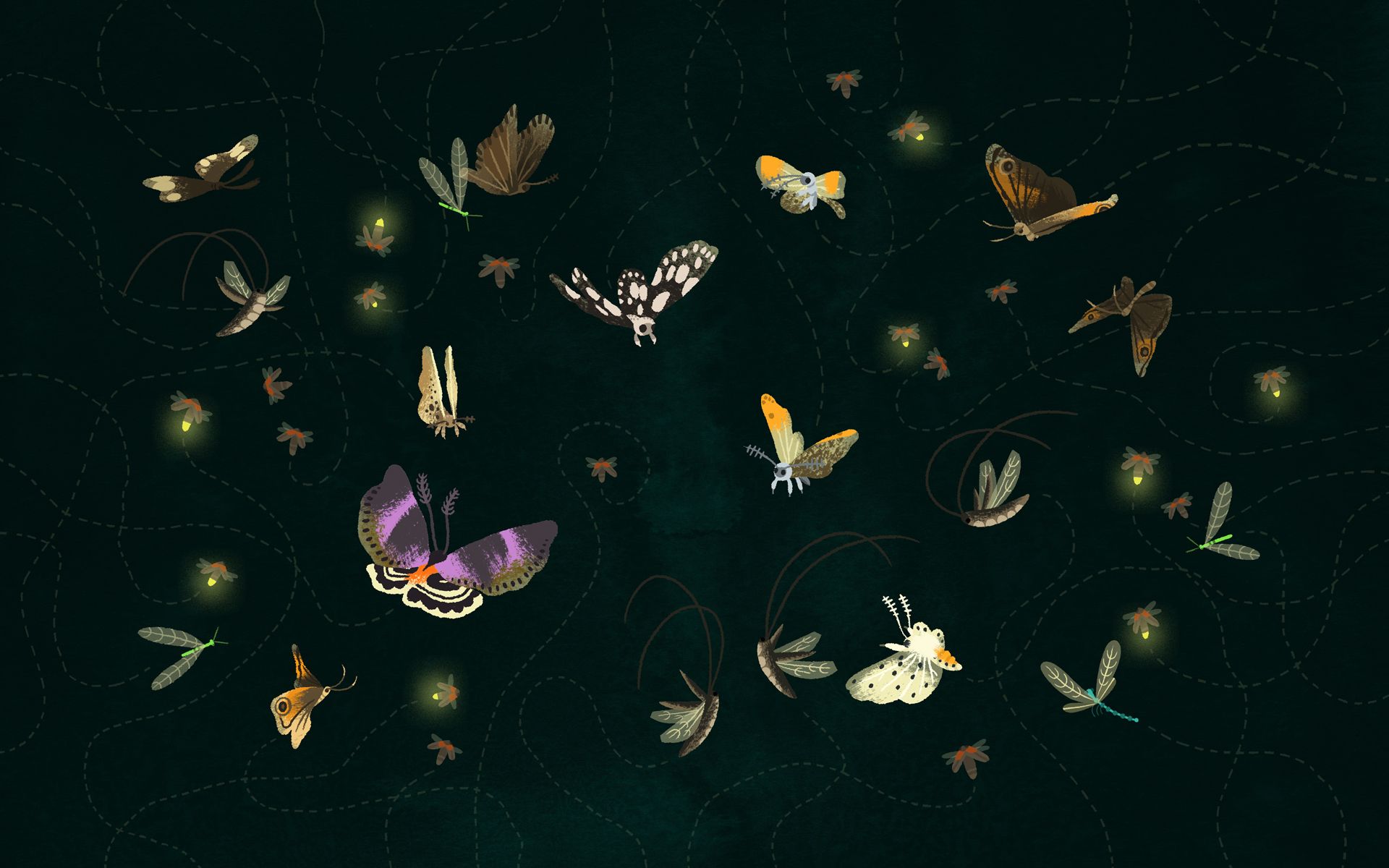 Animal Collective Wallpapers Wallpaper Cave