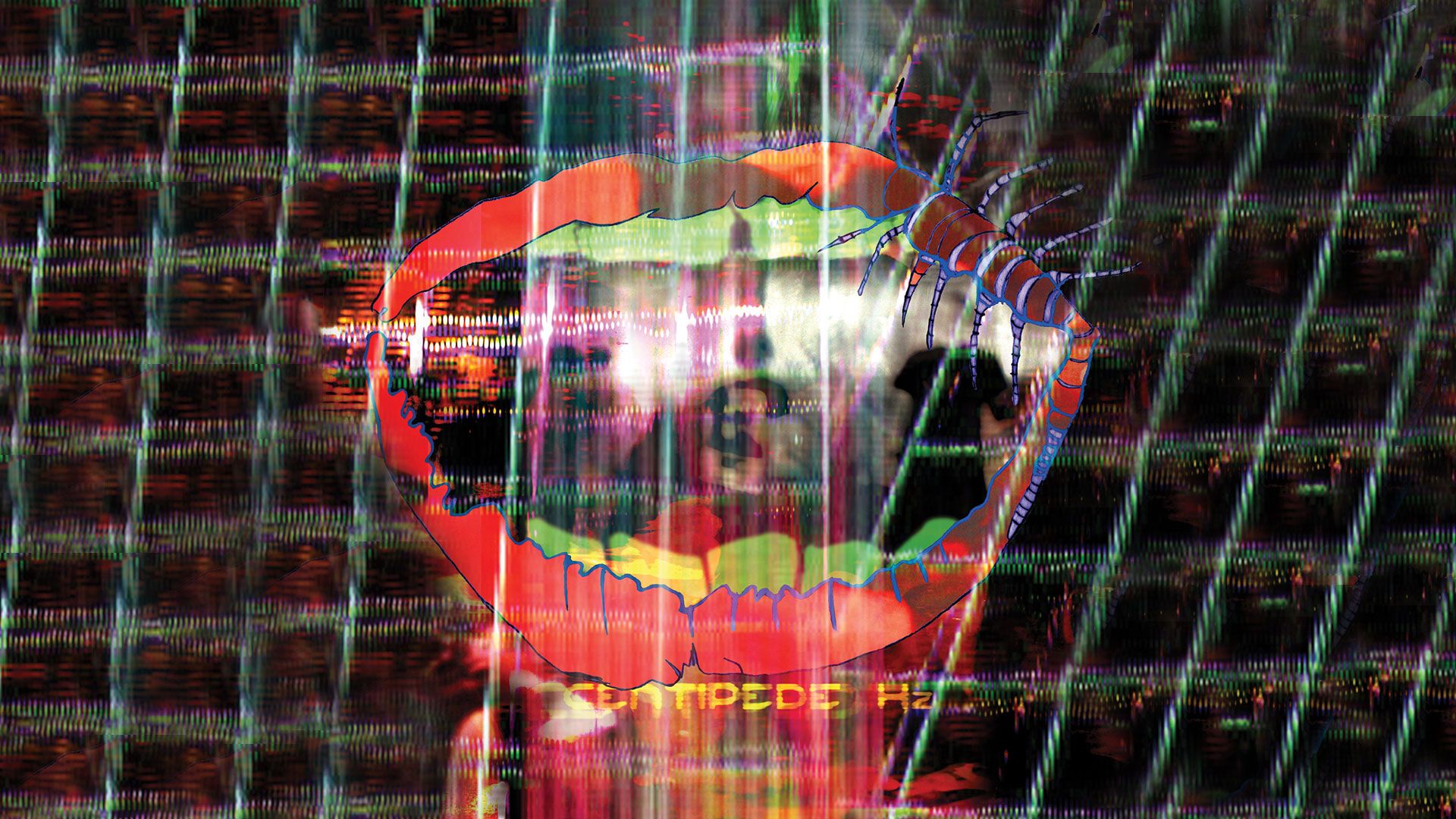 Animal Collective Wallpapers Wallpaper Cave