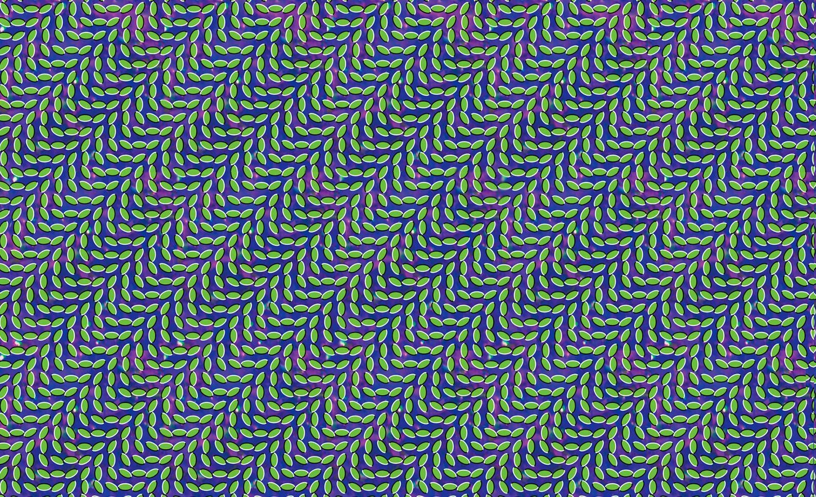 Animal Collective Wallpapers Wallpaper Cave