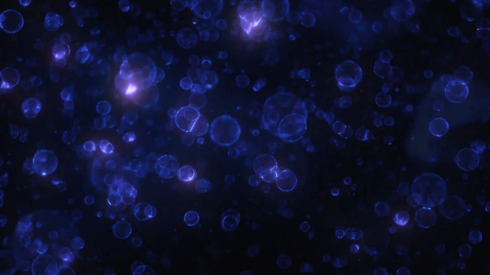 Animal Collective Wallpapers Wallpaper Cave