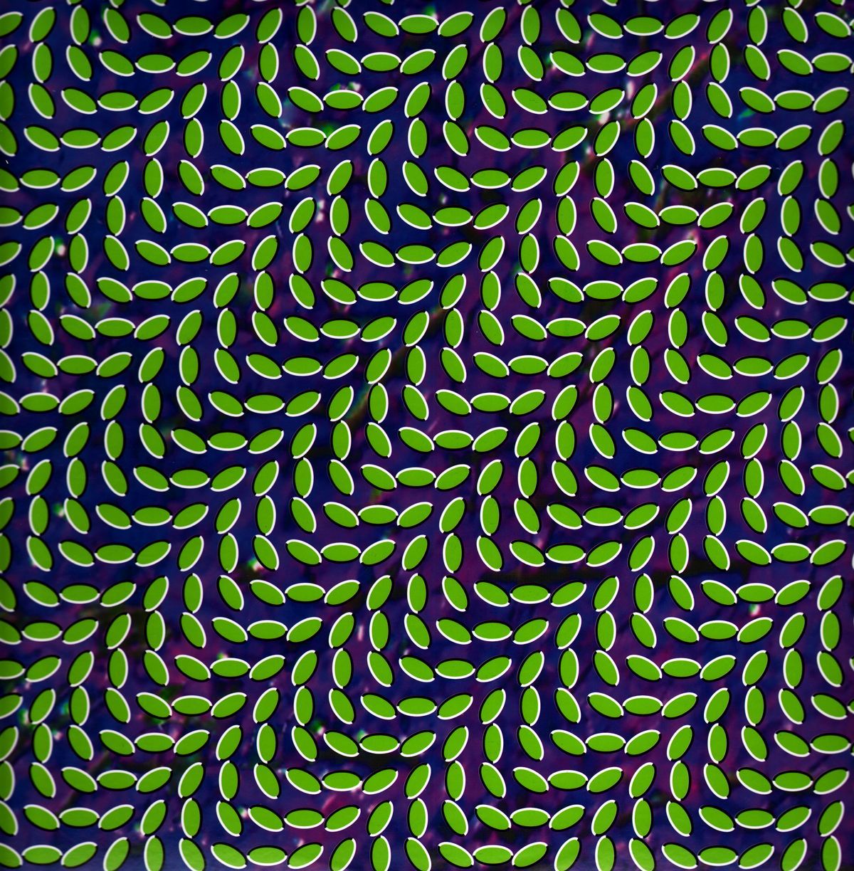 Animal Collective Wallpapers Wallpaper Cave