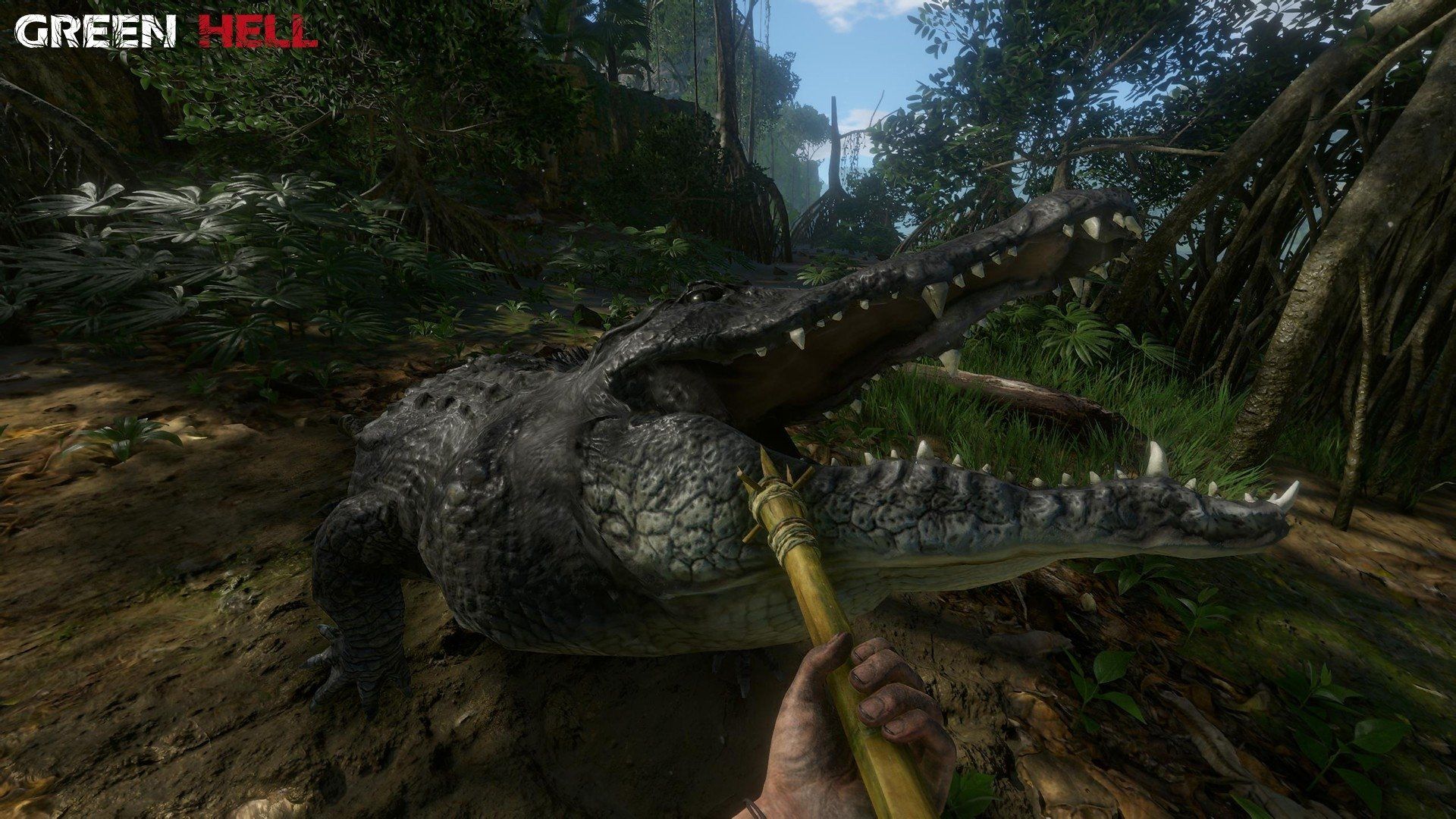 Green Hell Wallpapers Wallpaper Cave