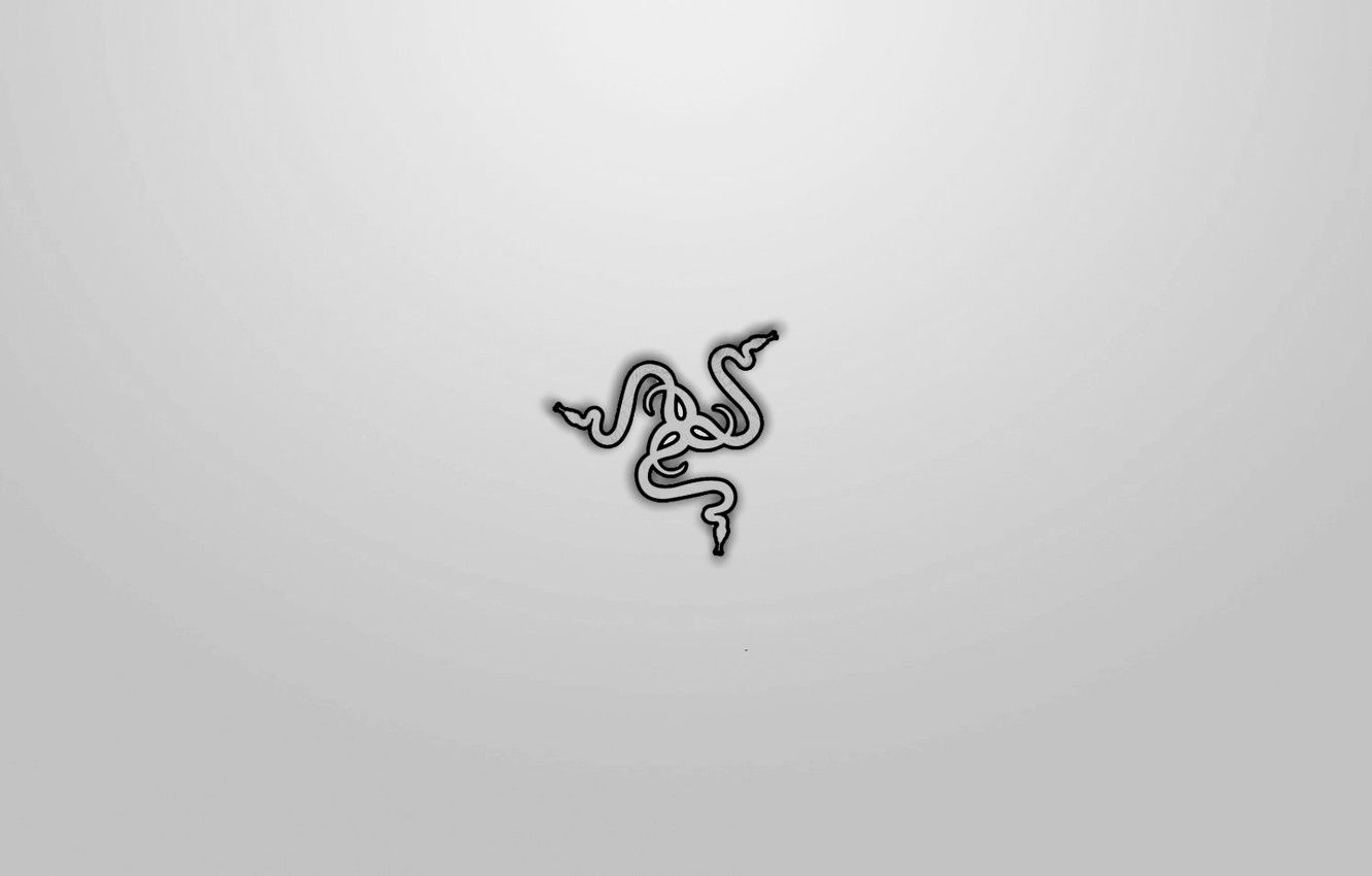 Razer White Wallpapers Wallpaper Cave