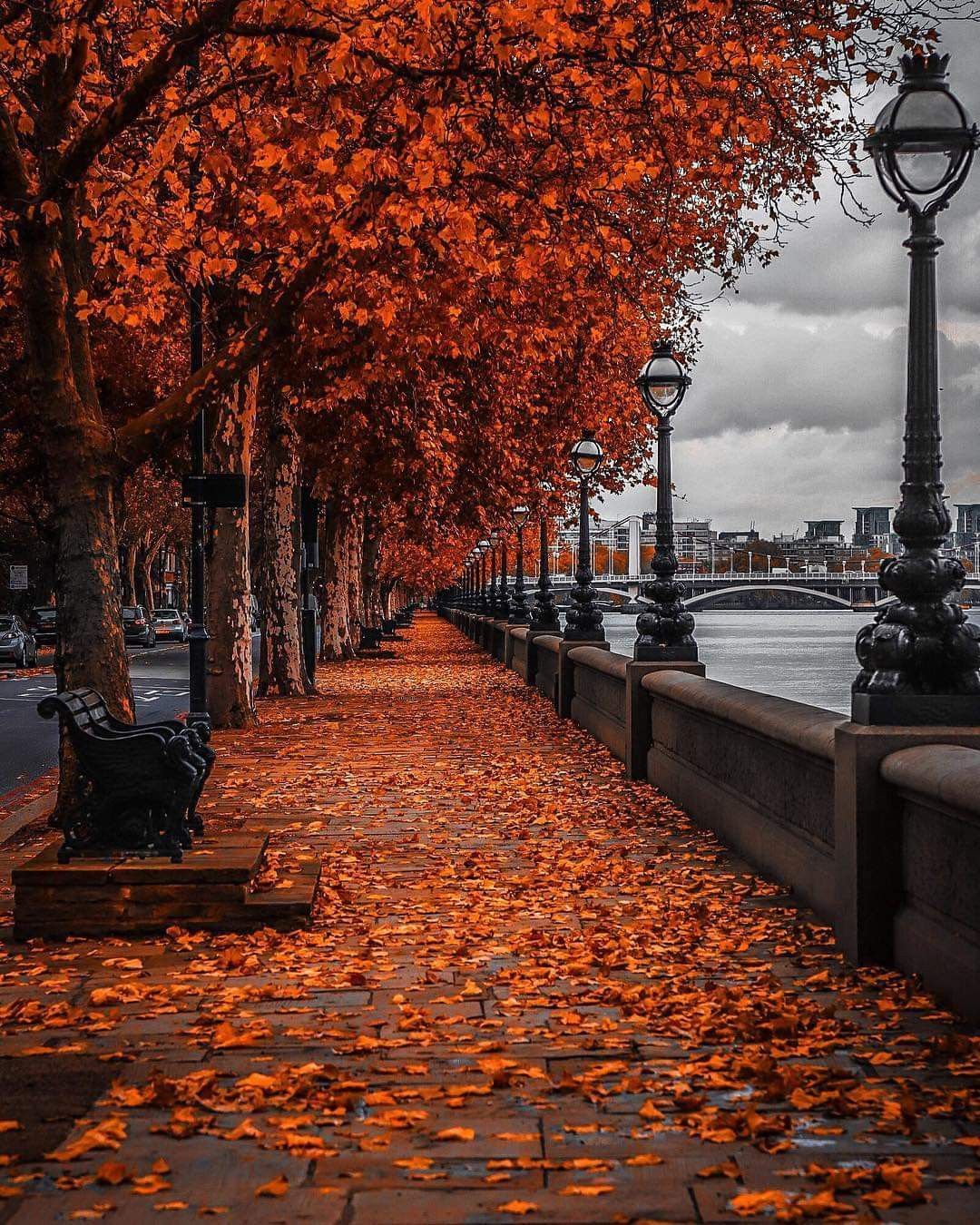 London In Autumn Wallpapers Wallpaper Cave