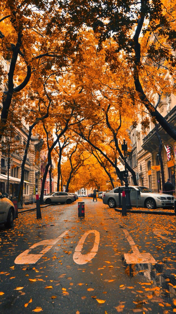 London In Autumn Wallpapers Wallpaper Cave