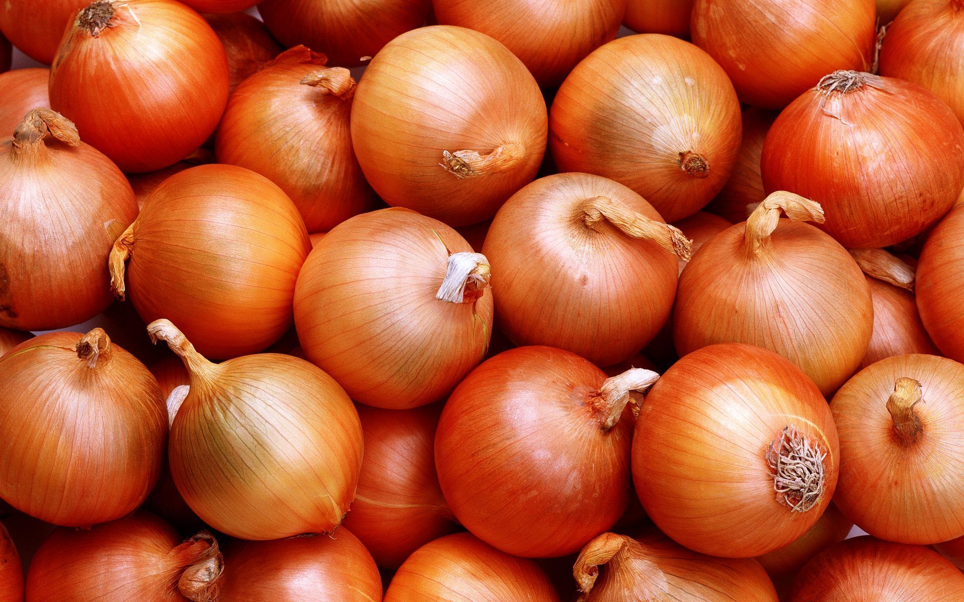 Onions Wallpapers Wallpaper Cave