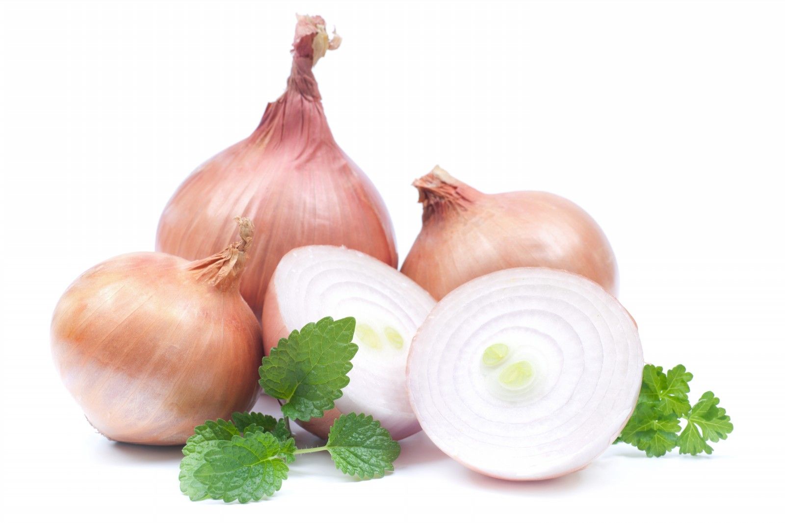 Onions Wallpapers Wallpaper Cave