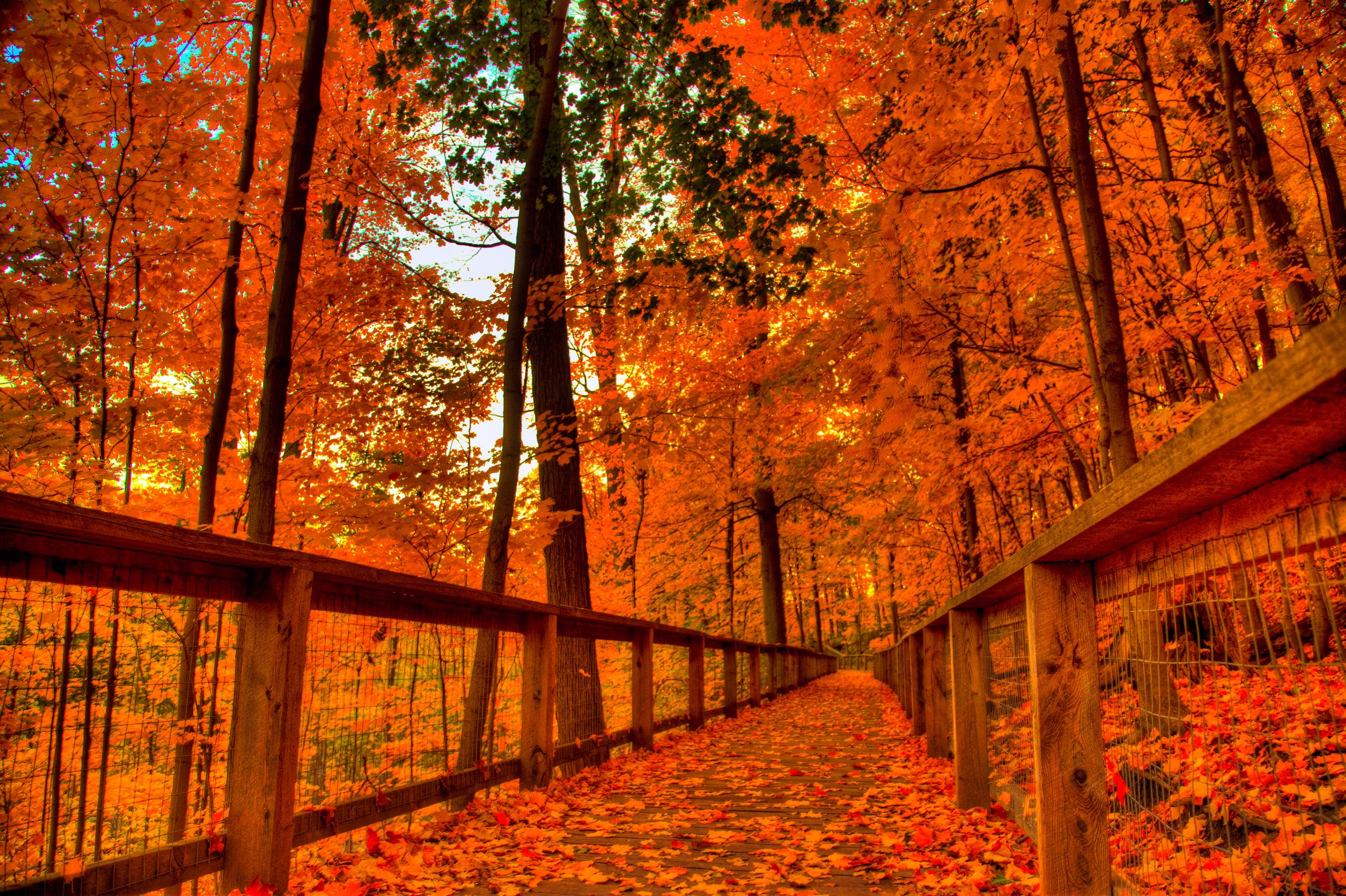 Autumn Halloween Wallpapers Wallpaper Cave