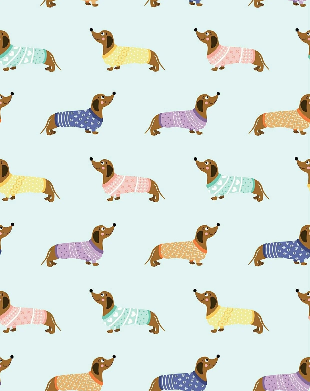 Sausage Dog Wallpapers Wallpaper Cave