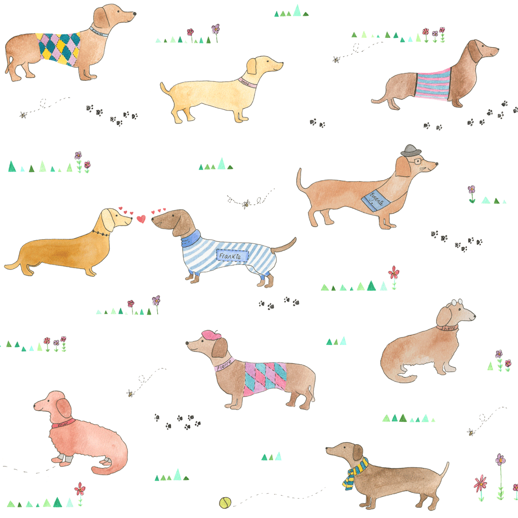 Sausage Dog Wallpapers Wallpaper Cave