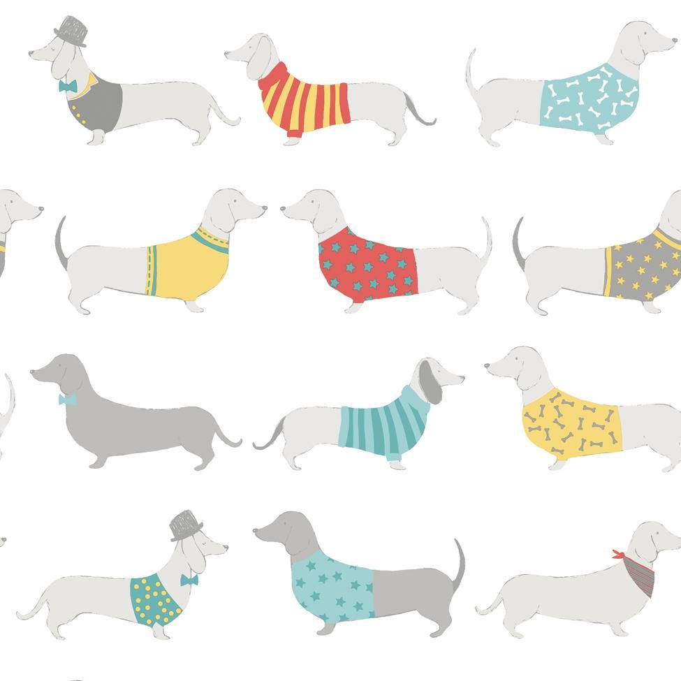 Sausage Dog Wallpapers Wallpaper Cave