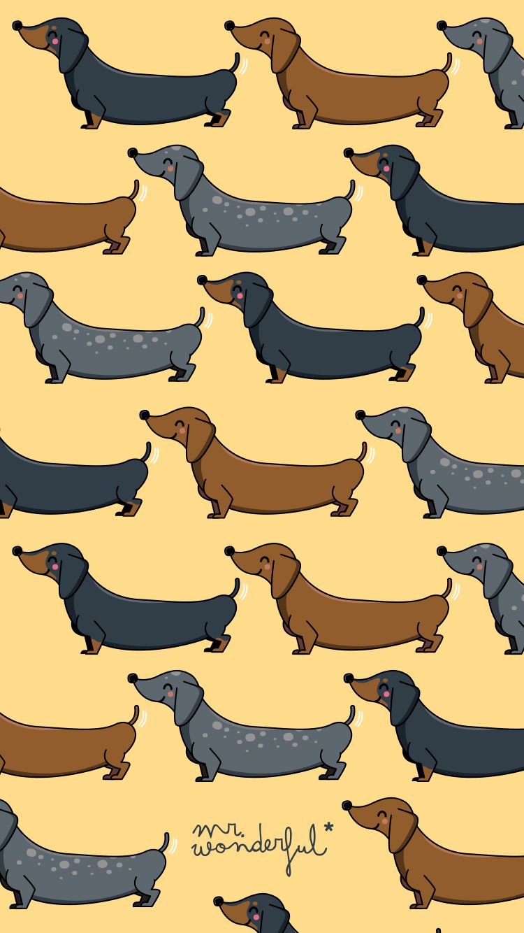 Sausage Dog Wallpapers Wallpaper Cave
